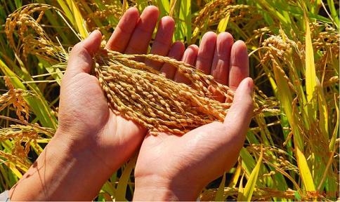 廣告1[2014-09-18 17:19:21]